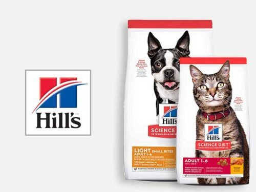 comida_para_perro_y_gato_hills Dignissim Sodales